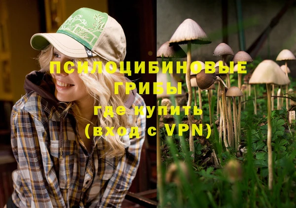 mix Верея
